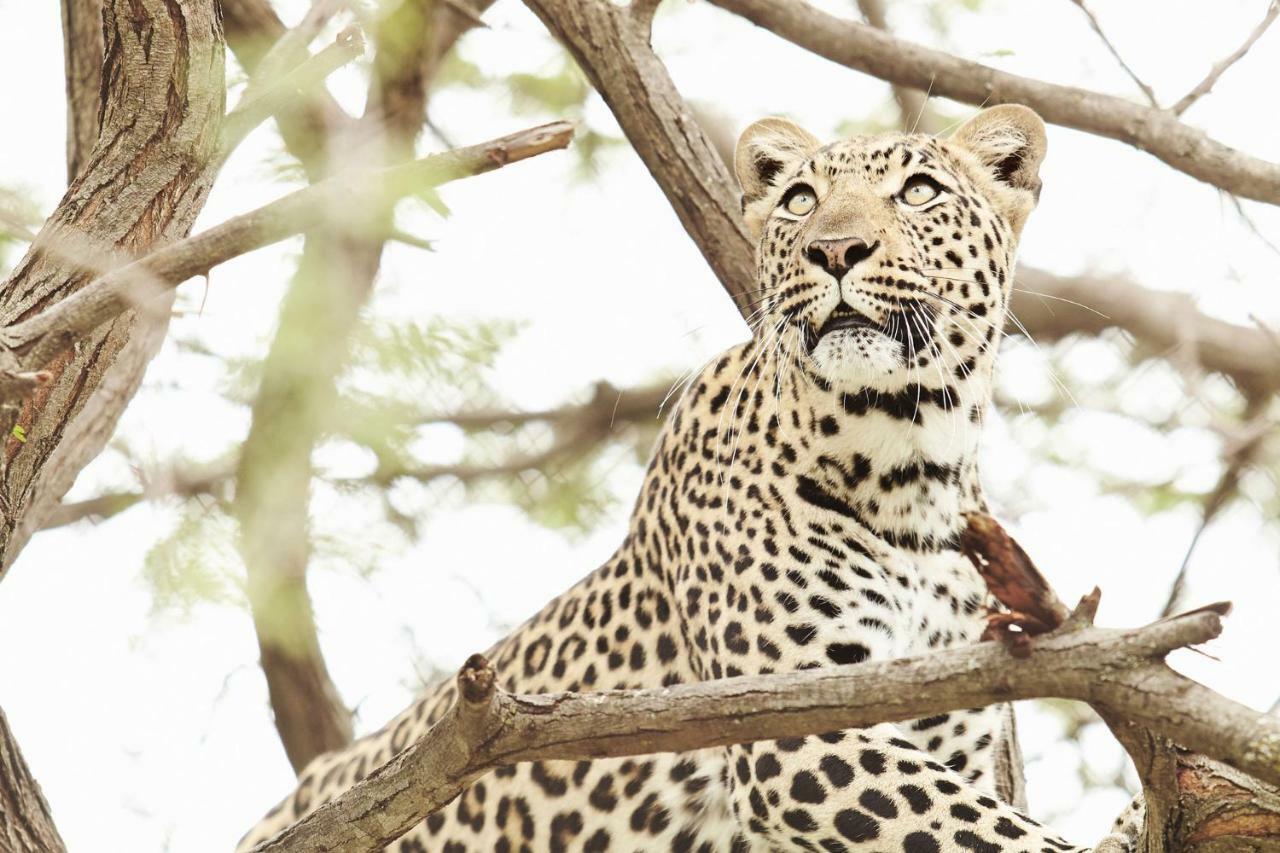 Vuyani River Lodge Hoedspruit Esterno foto